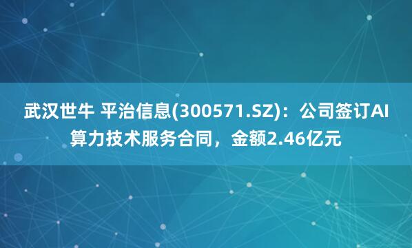 武汉世牛 平治信息(300571.SZ)：公司签订AI算力技术服务合同，金额2.46亿元