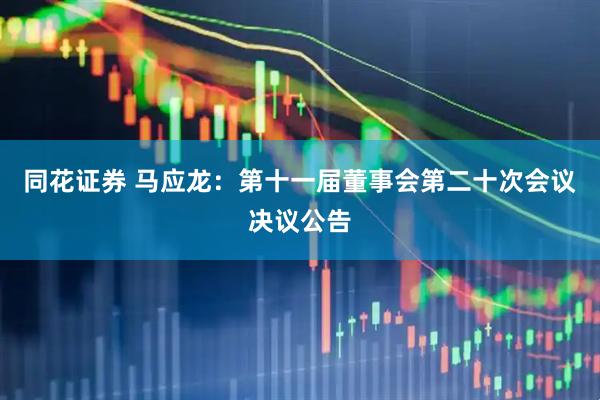 同花证券 马应龙：第十一届董事会第二十次会议决议公告