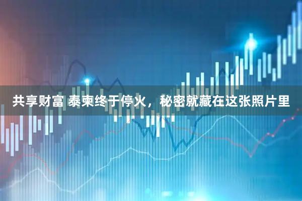 共享财富 泰柬终于停火，秘密就藏在这张照片里