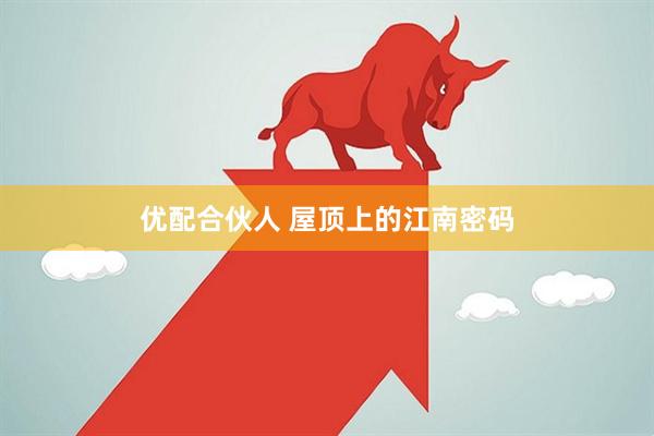 优配合伙人 屋顶上的江南密码