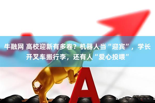 牛融网 高校迎新有多卷？机器人当“迎宾”，学长开叉车搬行李，还有人“爱心投喂”