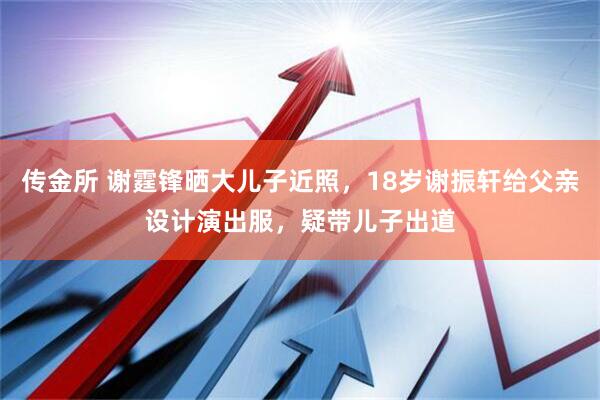 传金所 谢霆锋晒大儿子近照，18岁谢振轩给父亲设计演出服，疑带儿子出道